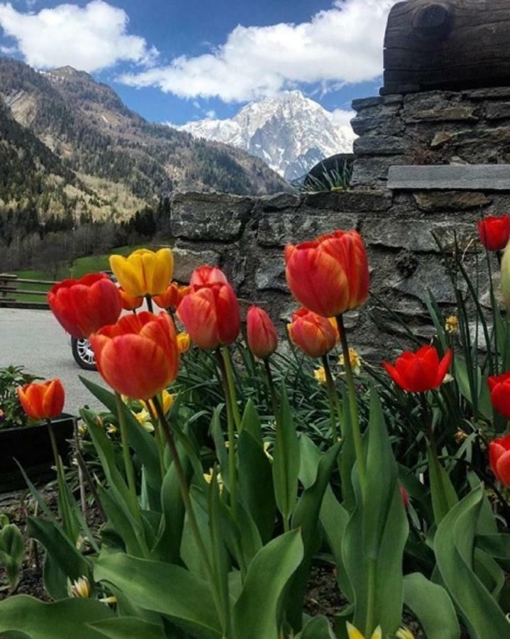 Hotel Beau Sejour Pré-Saint-Didier Dış mekan fotoğraf